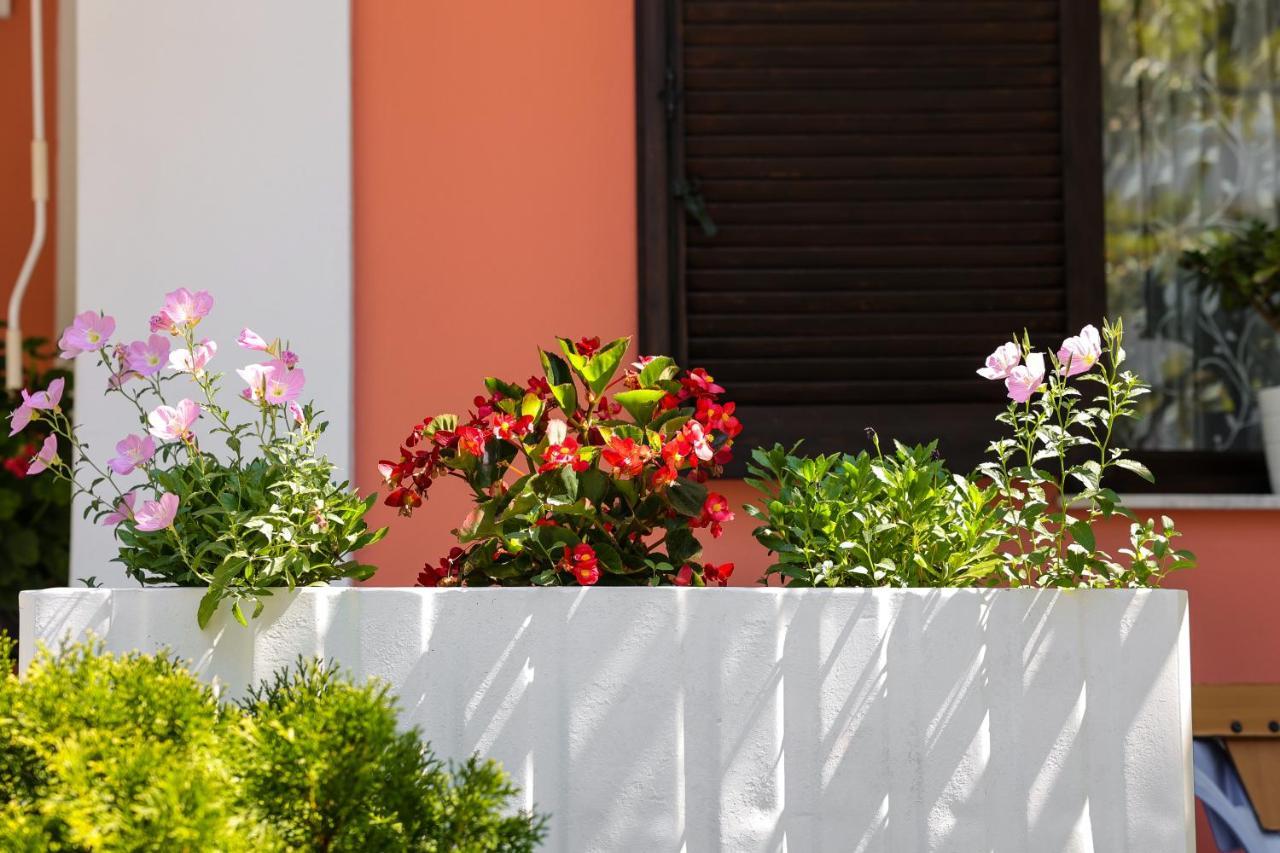 Villa Moras Paralía Екстериор снимка